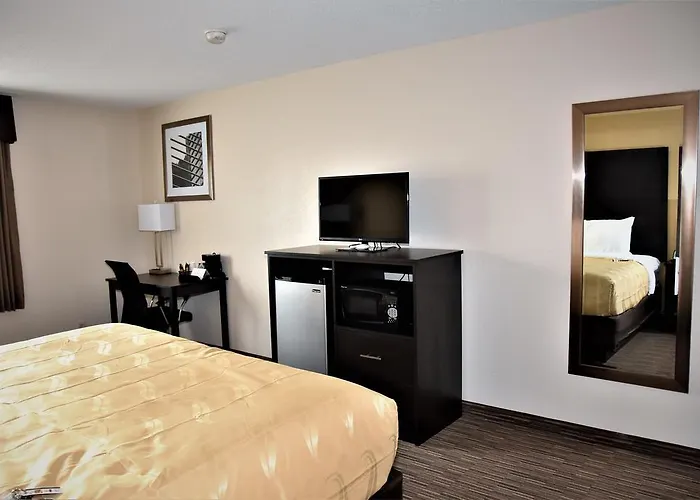 Hotel 6-metropolis, Il